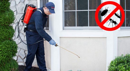 Kovancılar Uçan Haşere İlaçlama böcek ilaçlama ve haşere kontrolü — ilaclama-tr.com